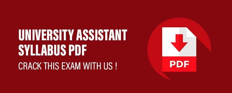 University_Asst_Syllabus_PDF